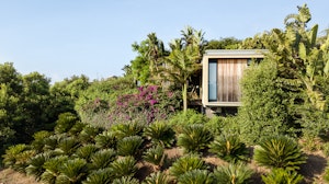 Tropical Garden