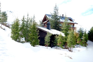 The Cabin