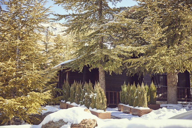 The Cabin