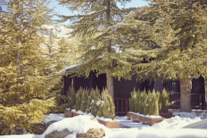The Cabin