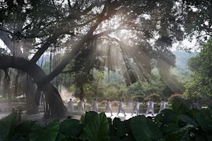 Tai Chi