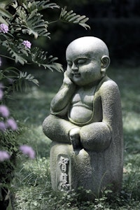 Little Monk