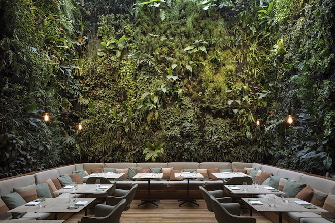 Emile Restaurant