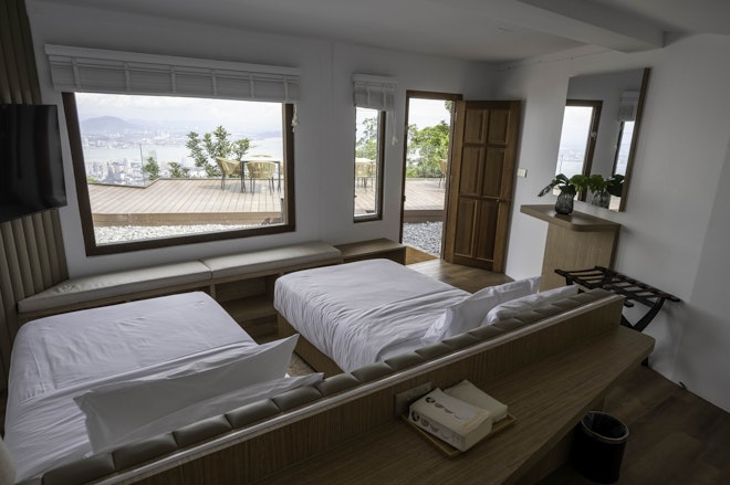 Wispy Umbrella Orchid - Bedroom