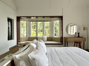 Lacewing Suite
