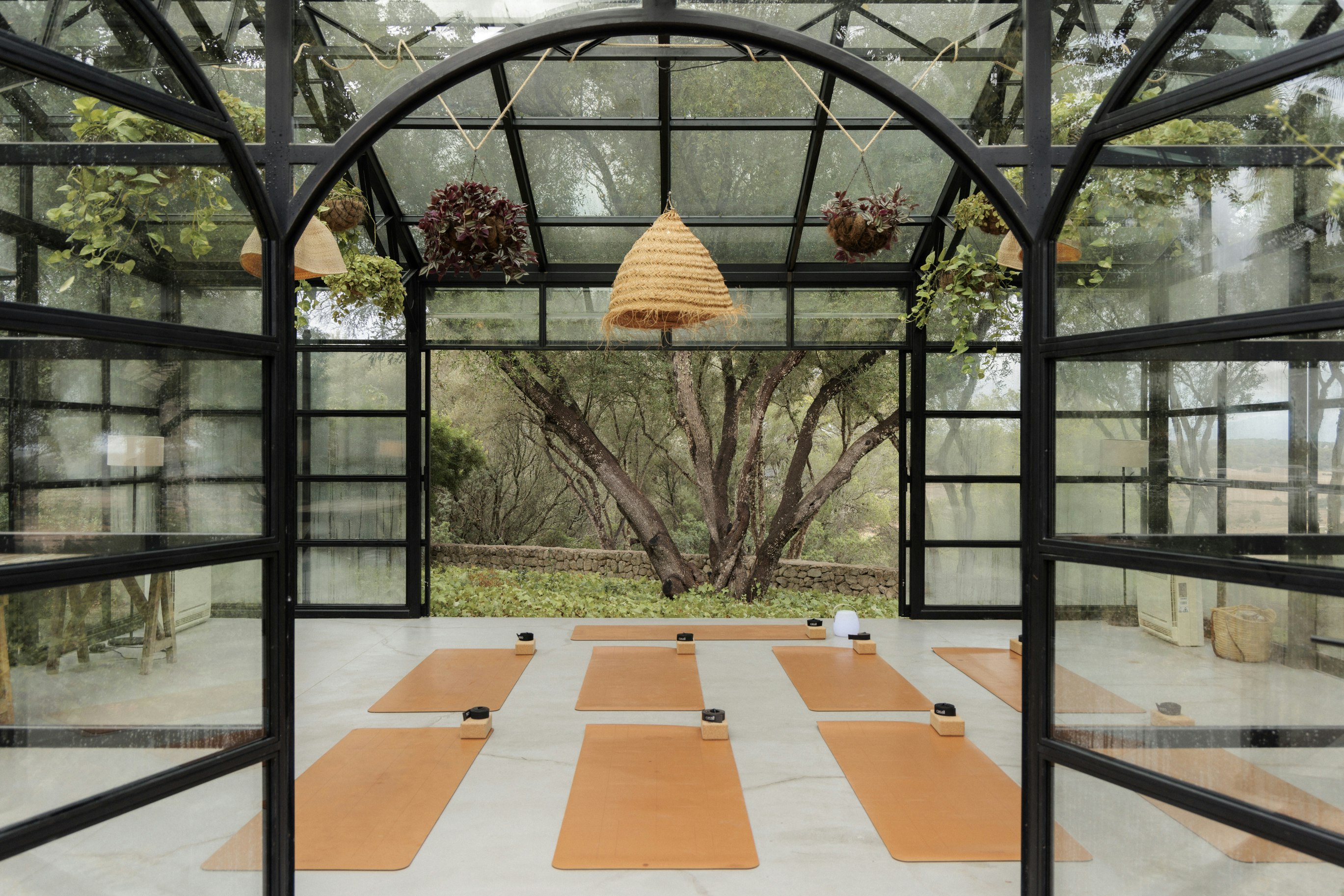 Yoga Greenhouse
