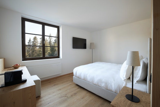 Suite - Bedroom