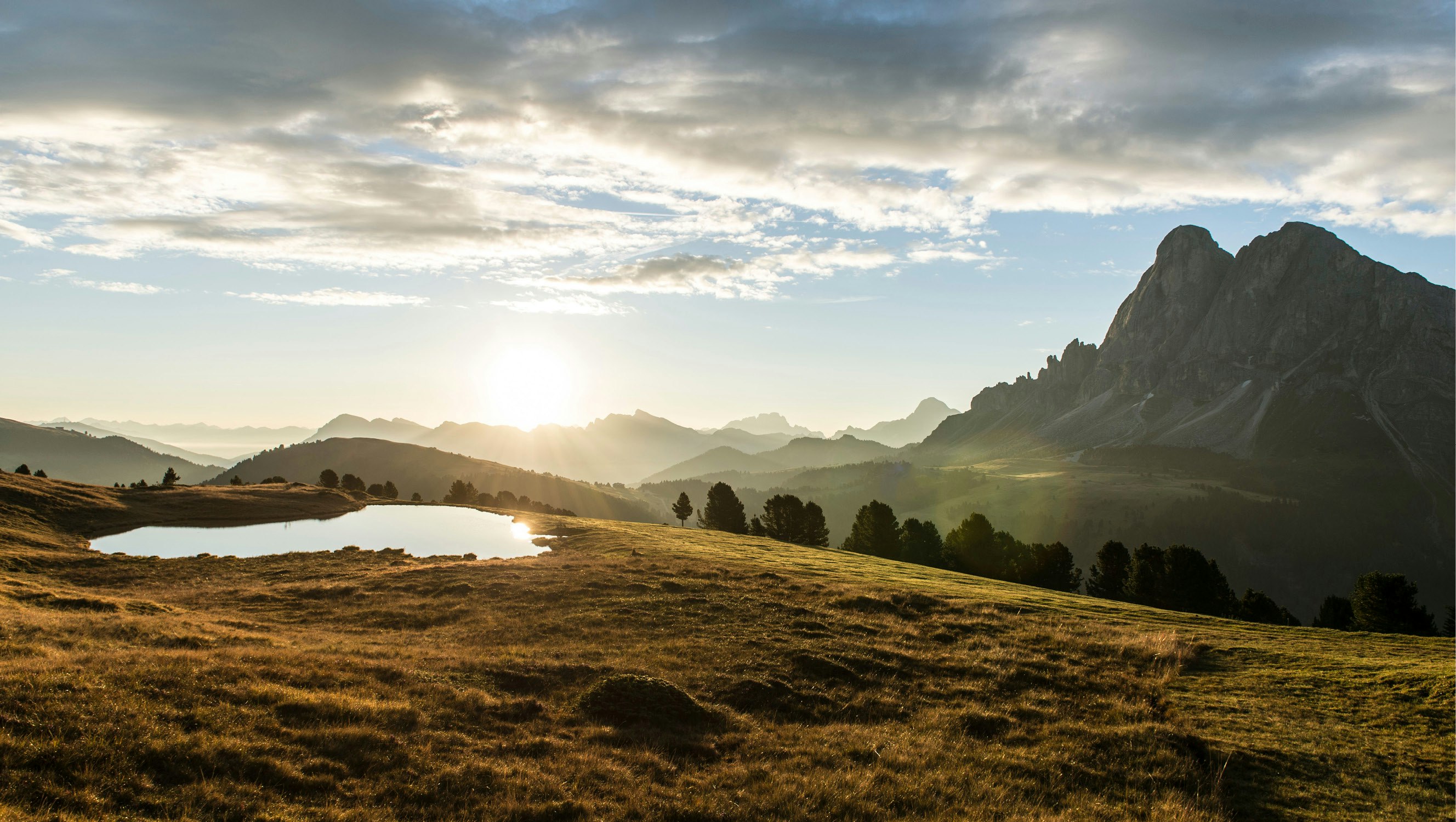 Silent Nature Summer