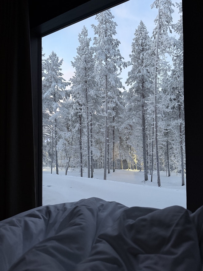 Forest Haven - View