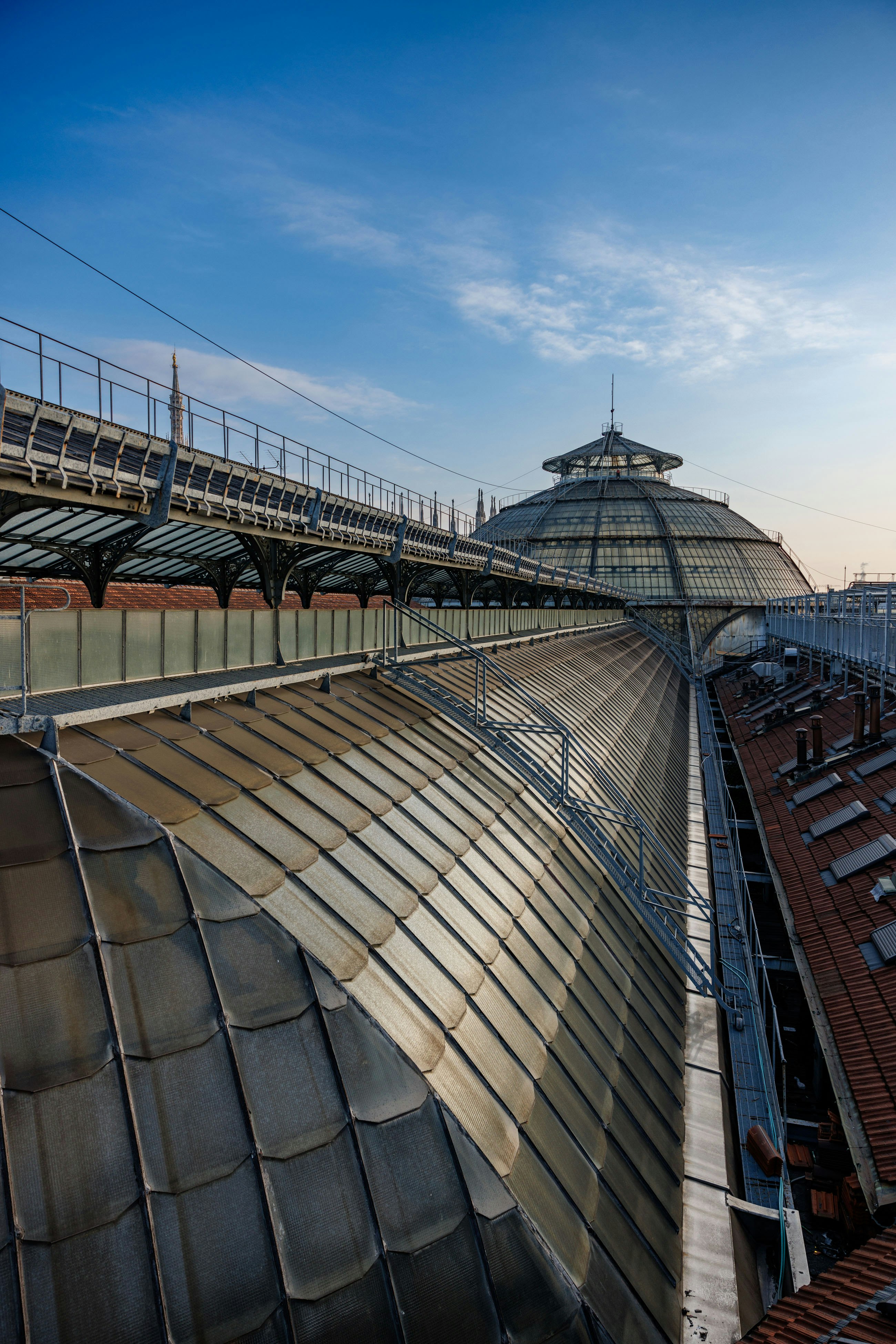 I Dodici Gatti views