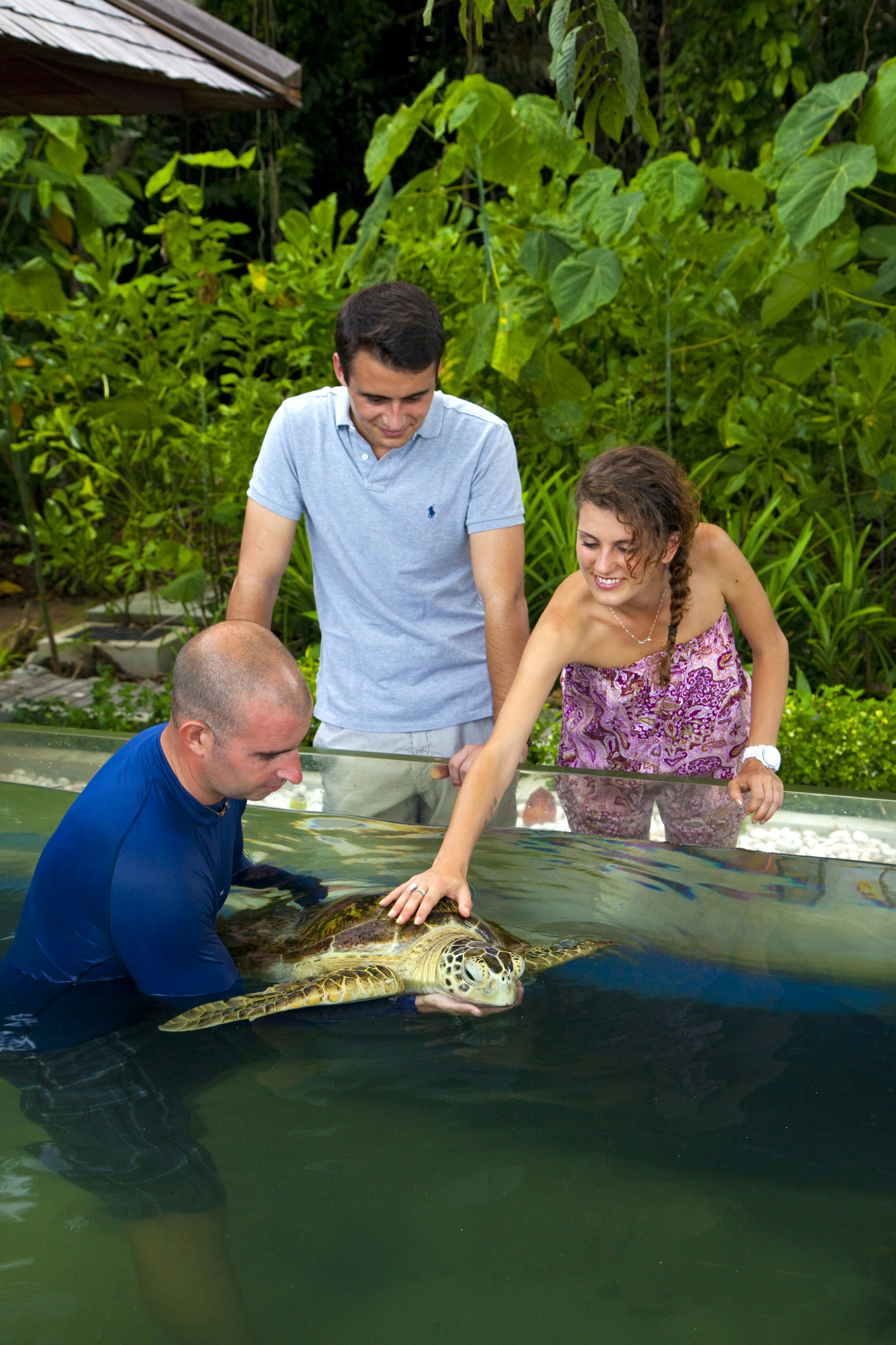 Gaya Island Resort Marine Centre