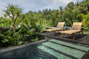 Prestige Pool Villa Paddy View - Pool