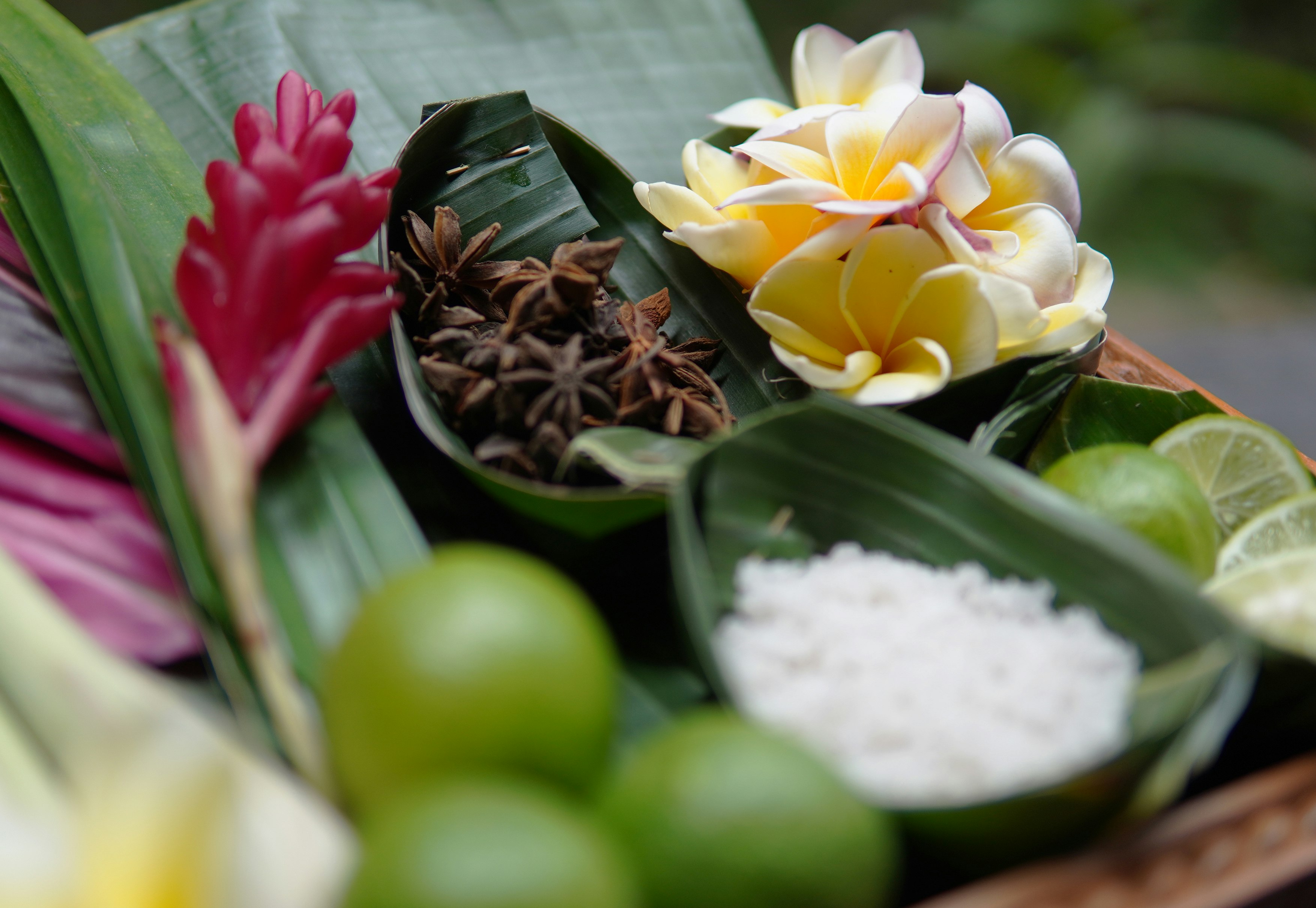 Arana Spa Fresh Herbs