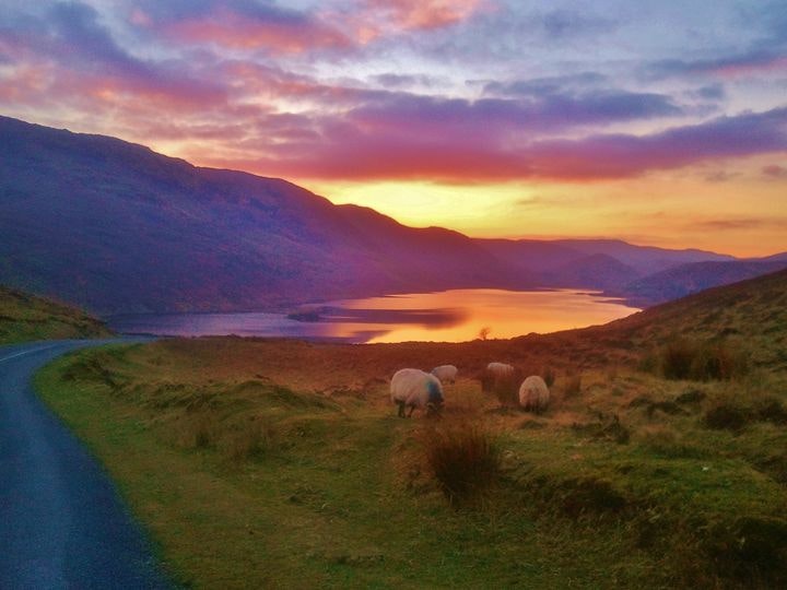 Great Western Greenway Excursion
