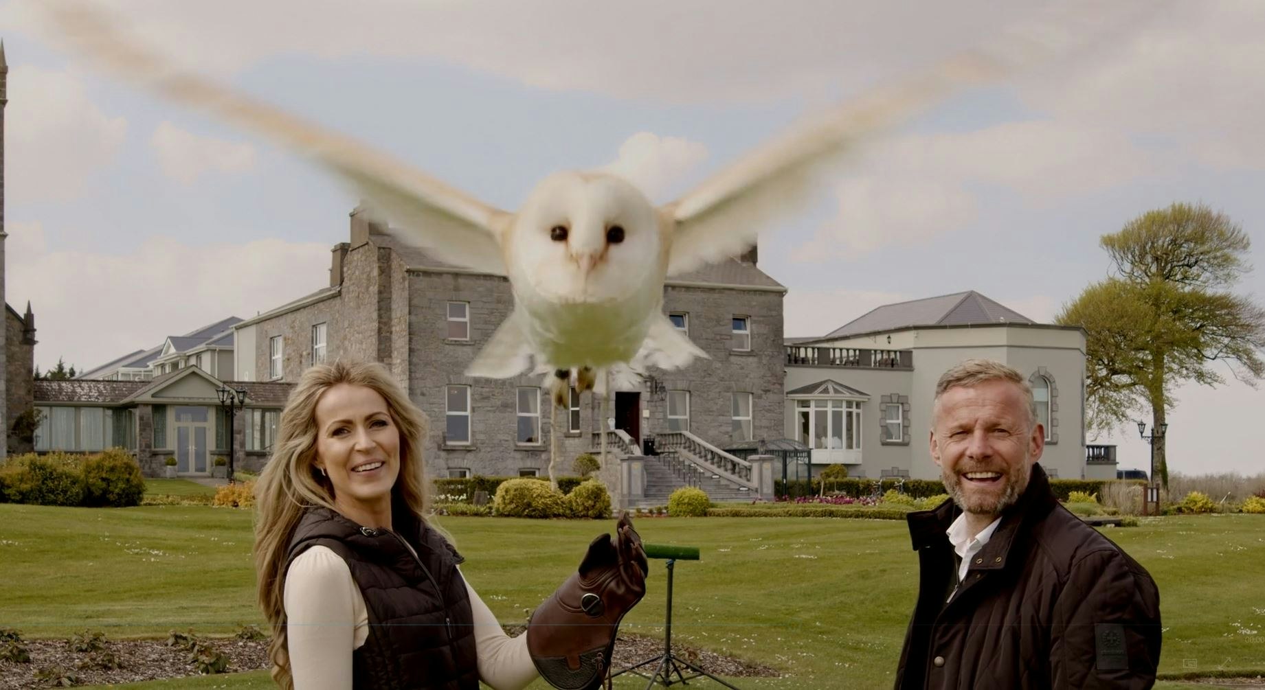 Falconry On Glenlo Abbeys Estate