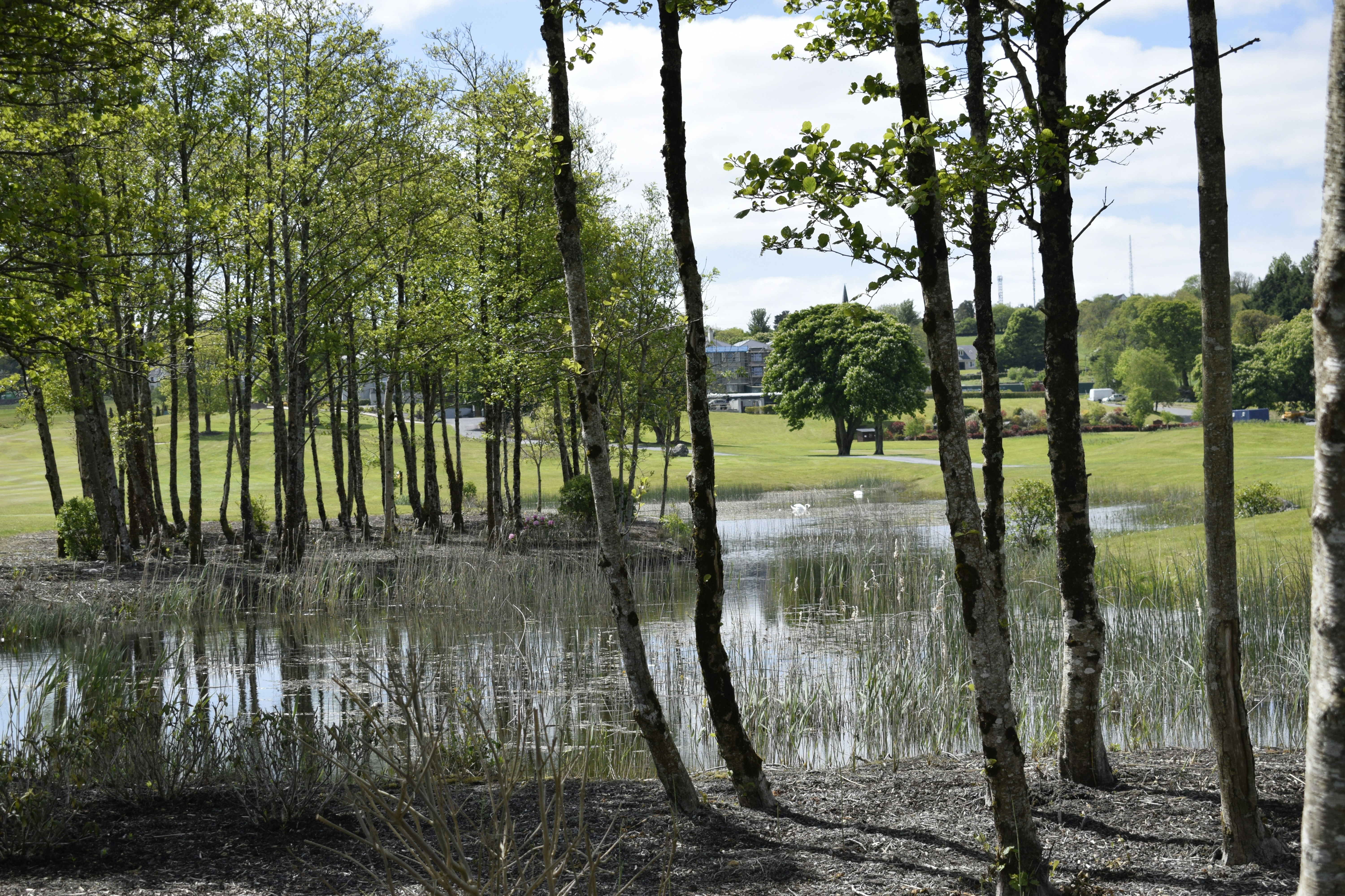 Grounds Of The Acre Estate