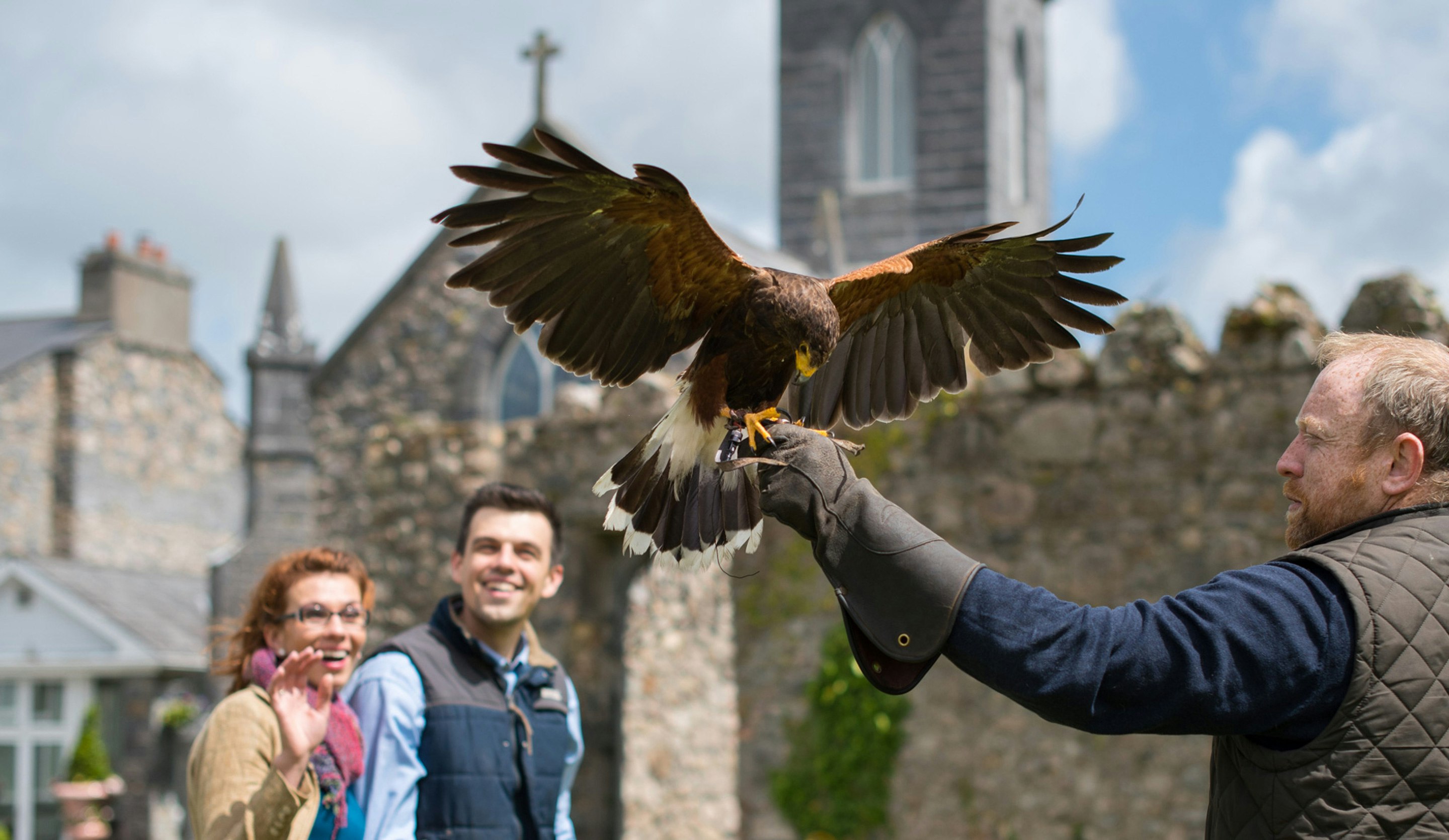 Falconry at Glenlo Abbey