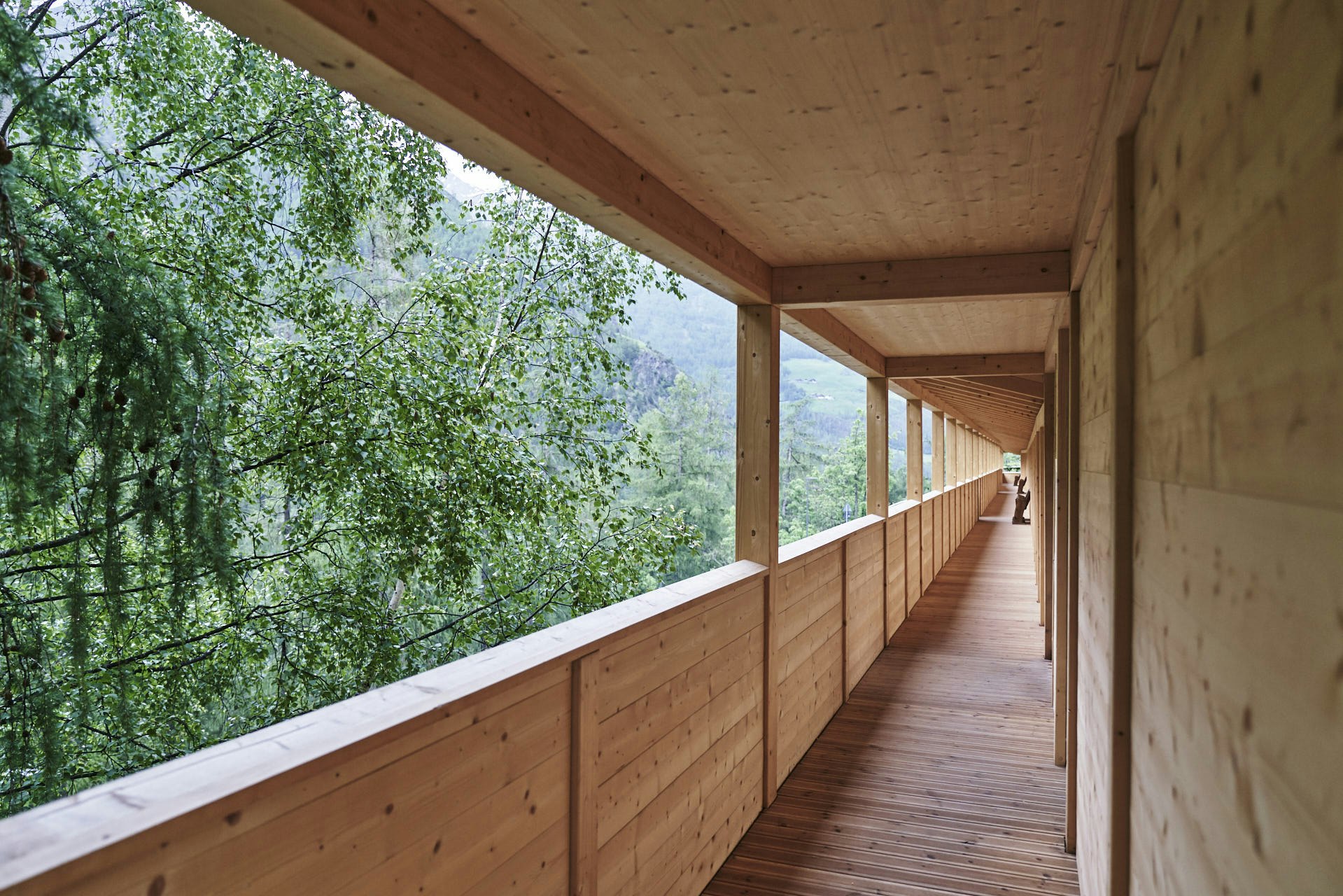 Wooden Walkway - to Wellness Area