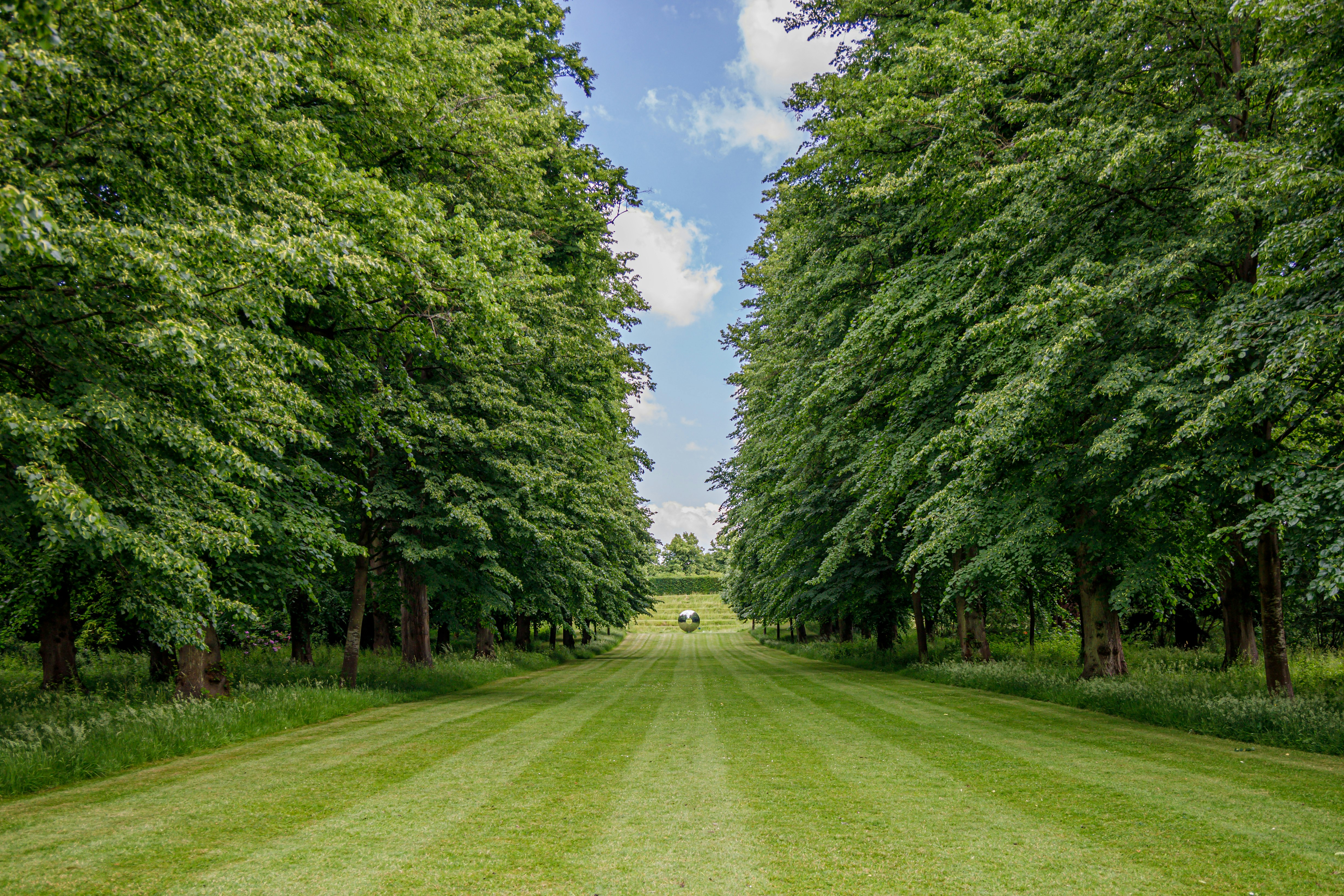 The Lime Avenue