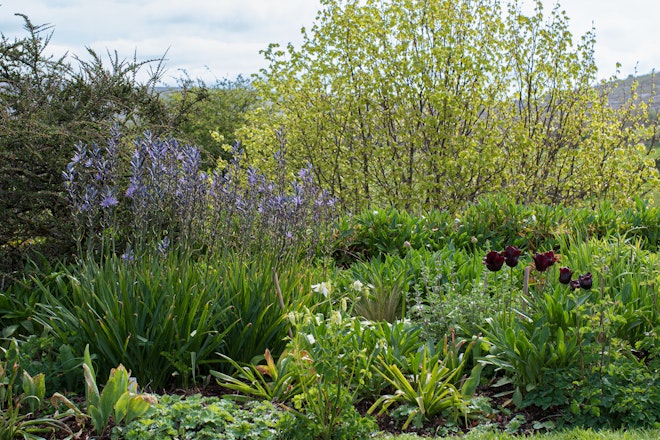 Flower Beds