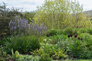 Flower Beds