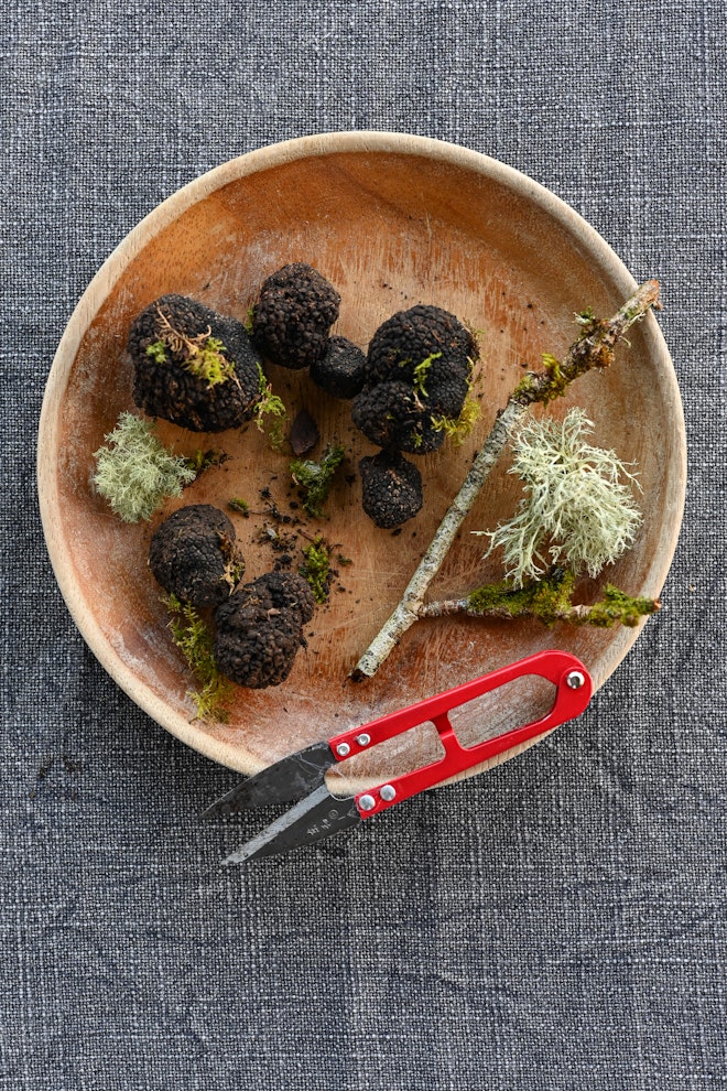 Truffles from the Garden