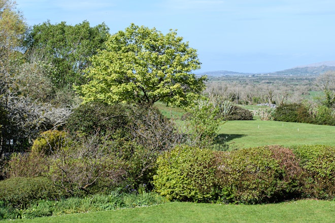 Bedroom Window View