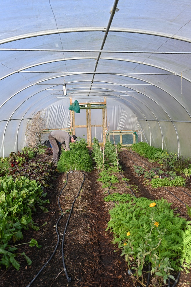 Vegetable Garden