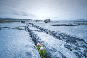 The Burren
