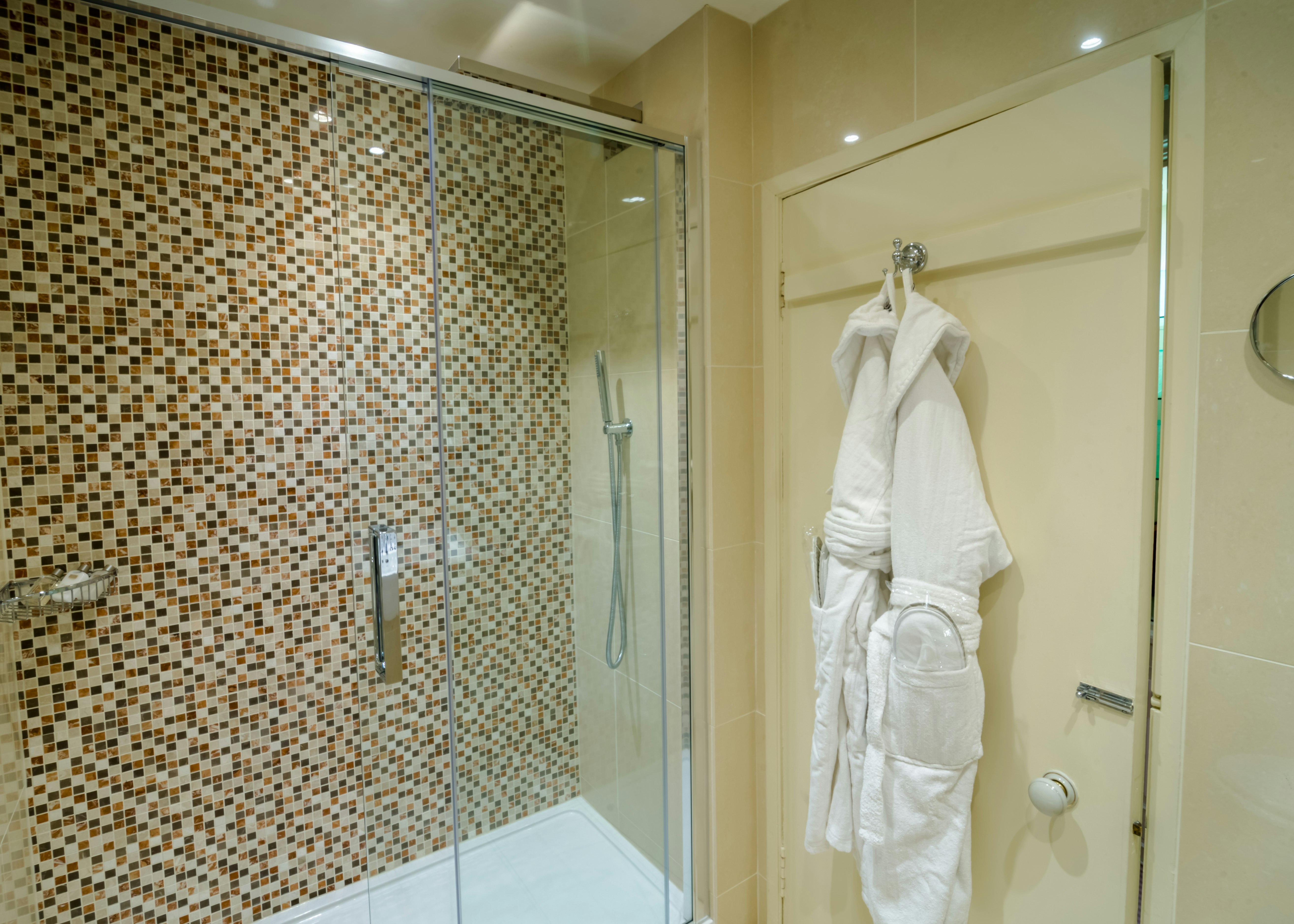 Premium Main House Room - Bathroom