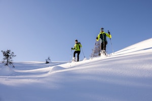 Snow Shoeing