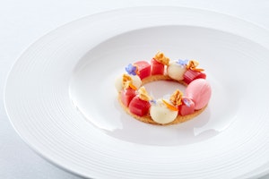 Fernery - Rhubarb
