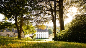 The Grove
