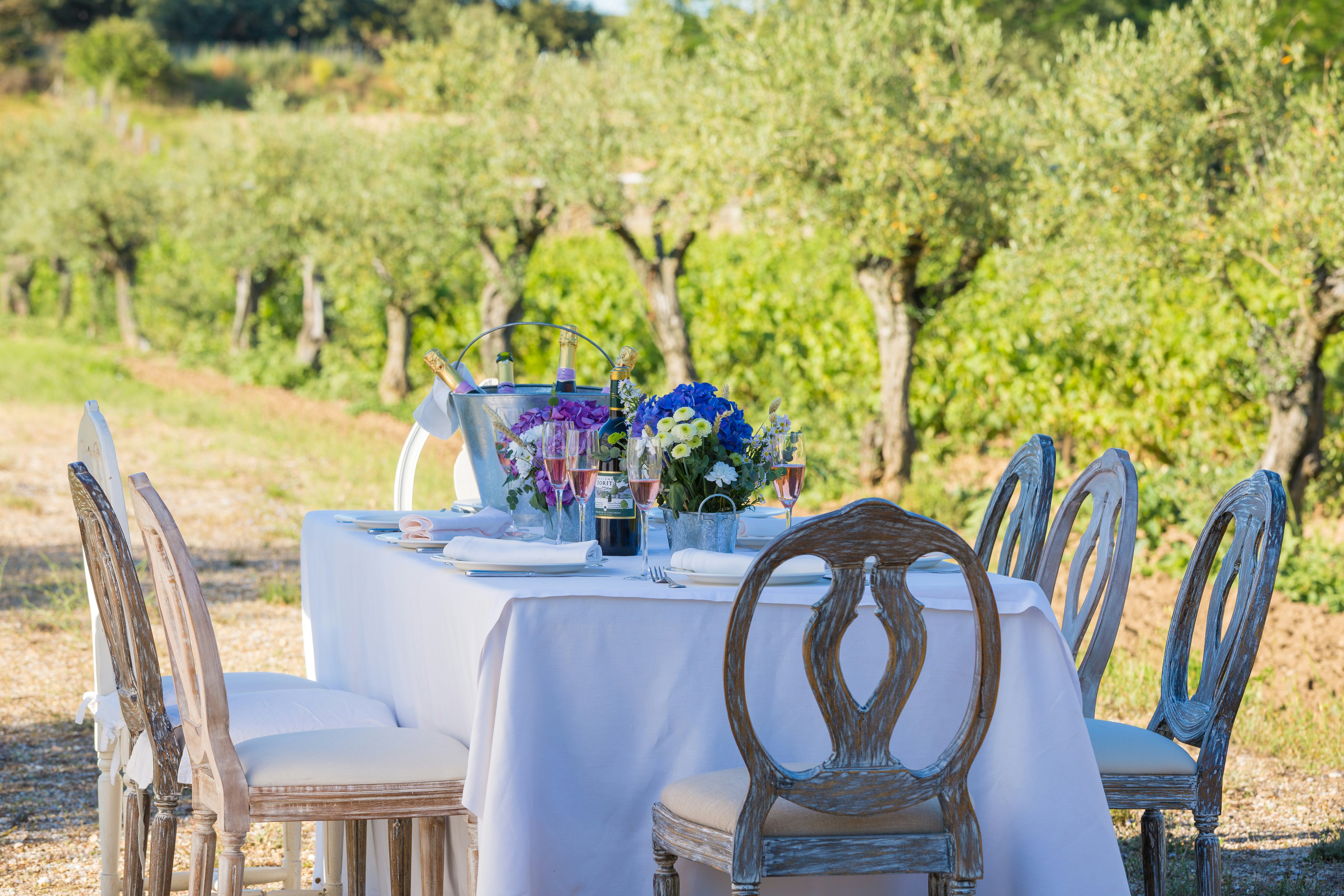 Lunch at the Vineyard