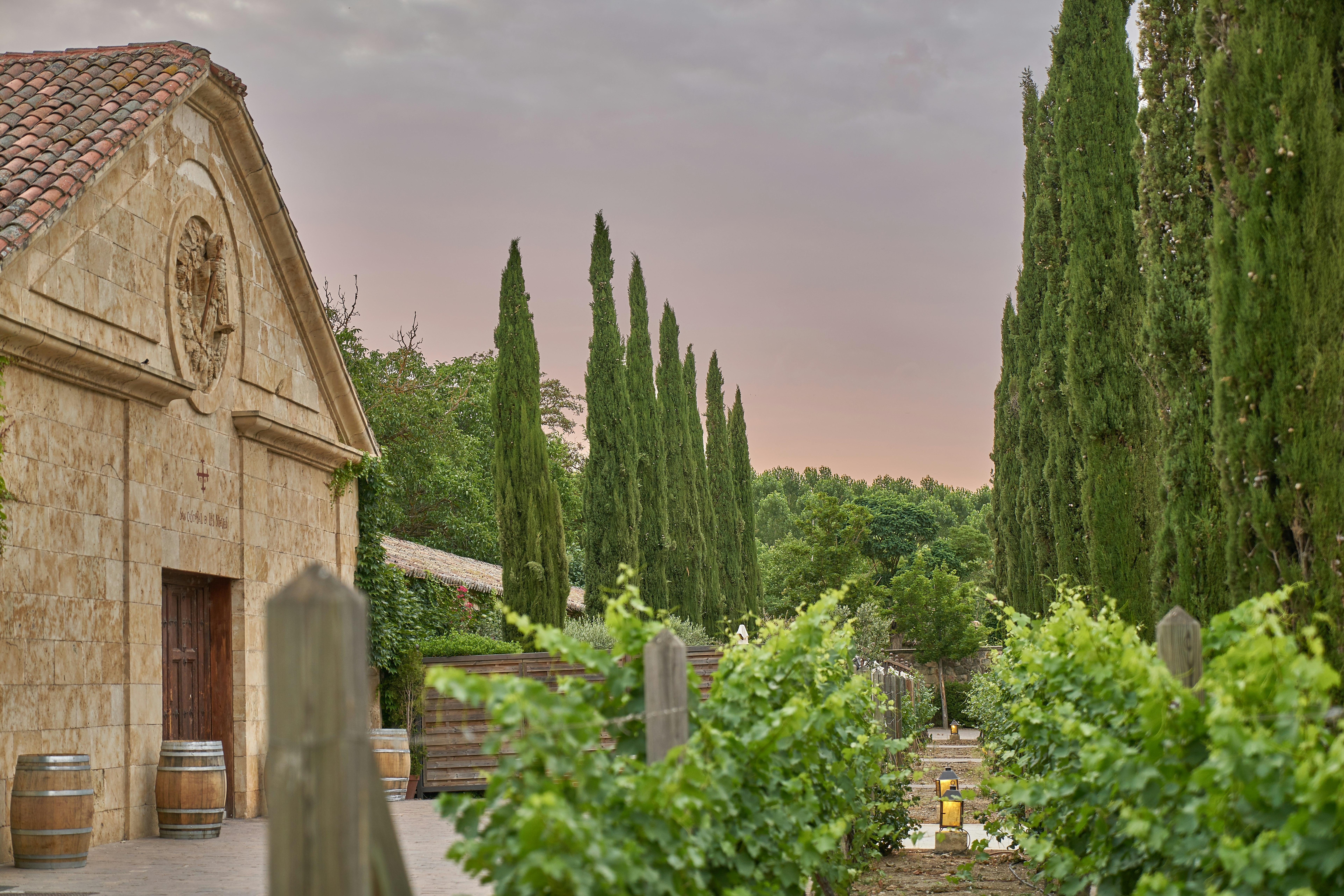 Hacienda Zorita Chapel