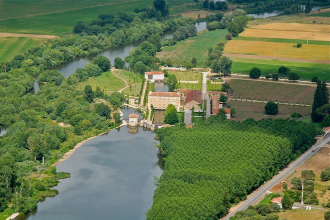 A 14th-century monastery celebrating viniculture