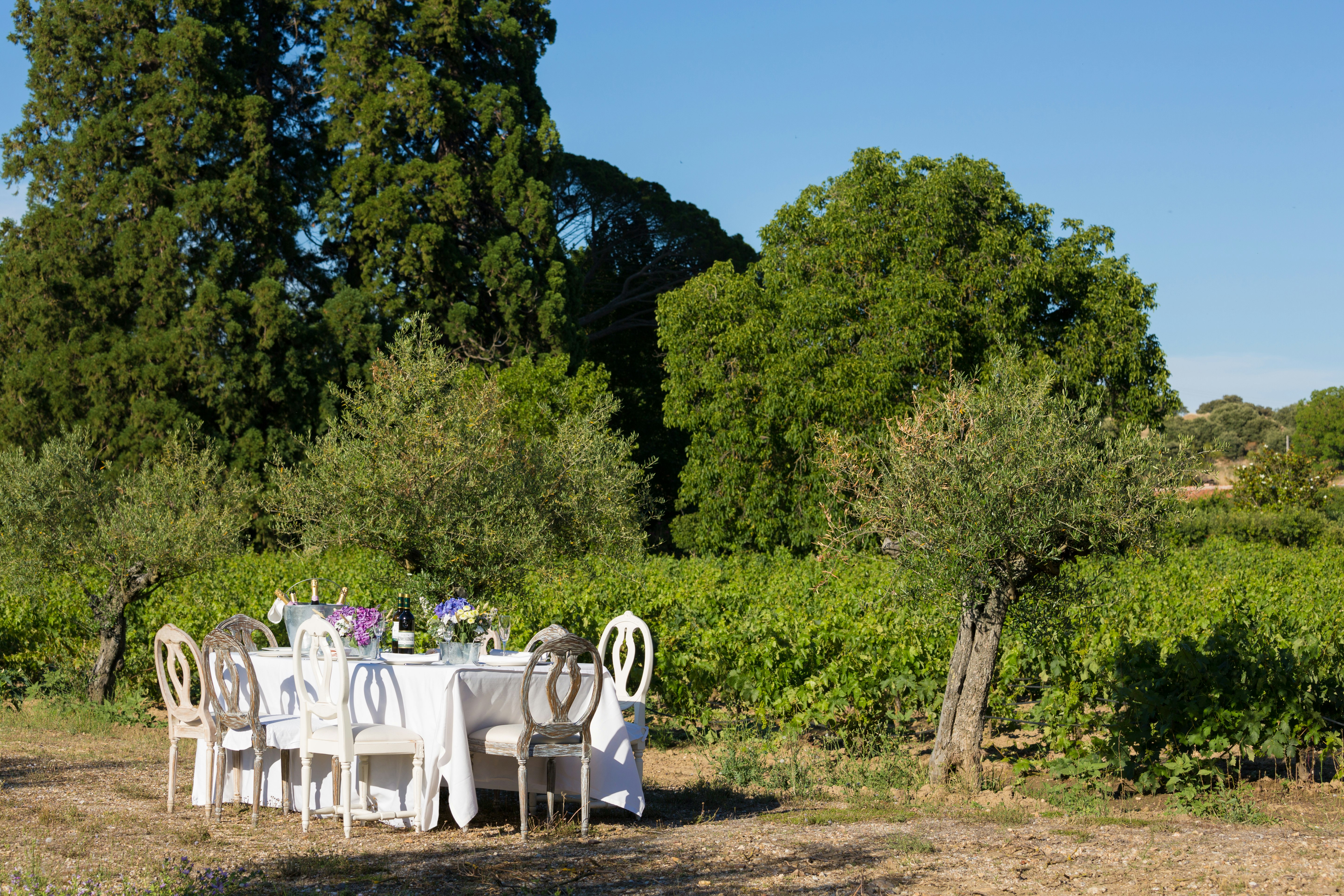 Lunch at the Vineyard