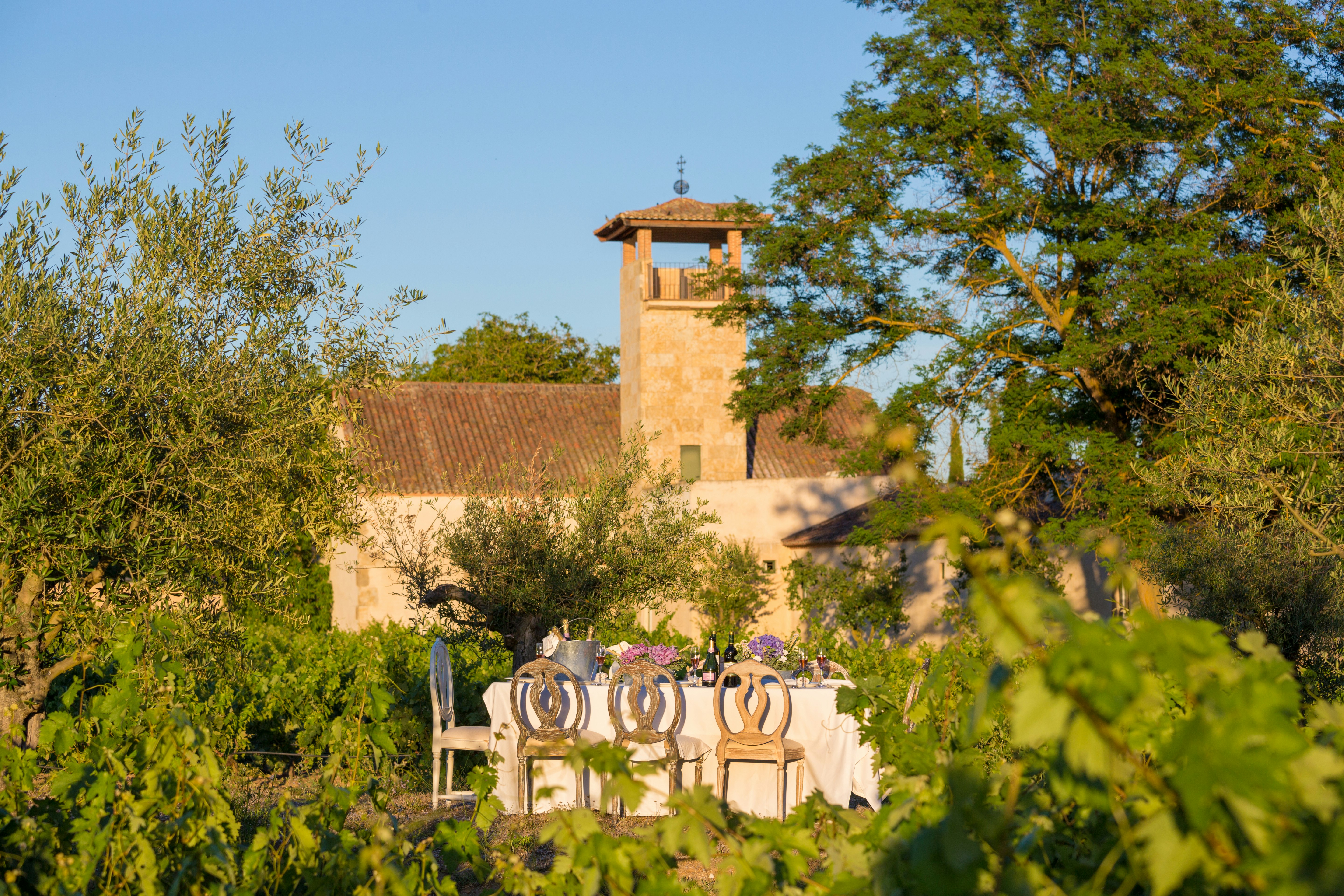 Lunch in the Vineyard
