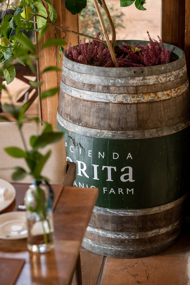 Zoritas Kitchen