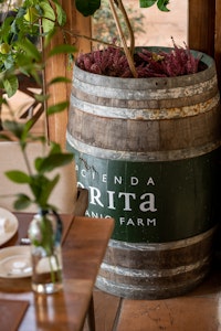 Zoritas Kitchen