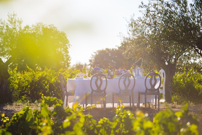 Lunch at the Vineyard