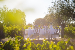 Lunch at the Vineyard