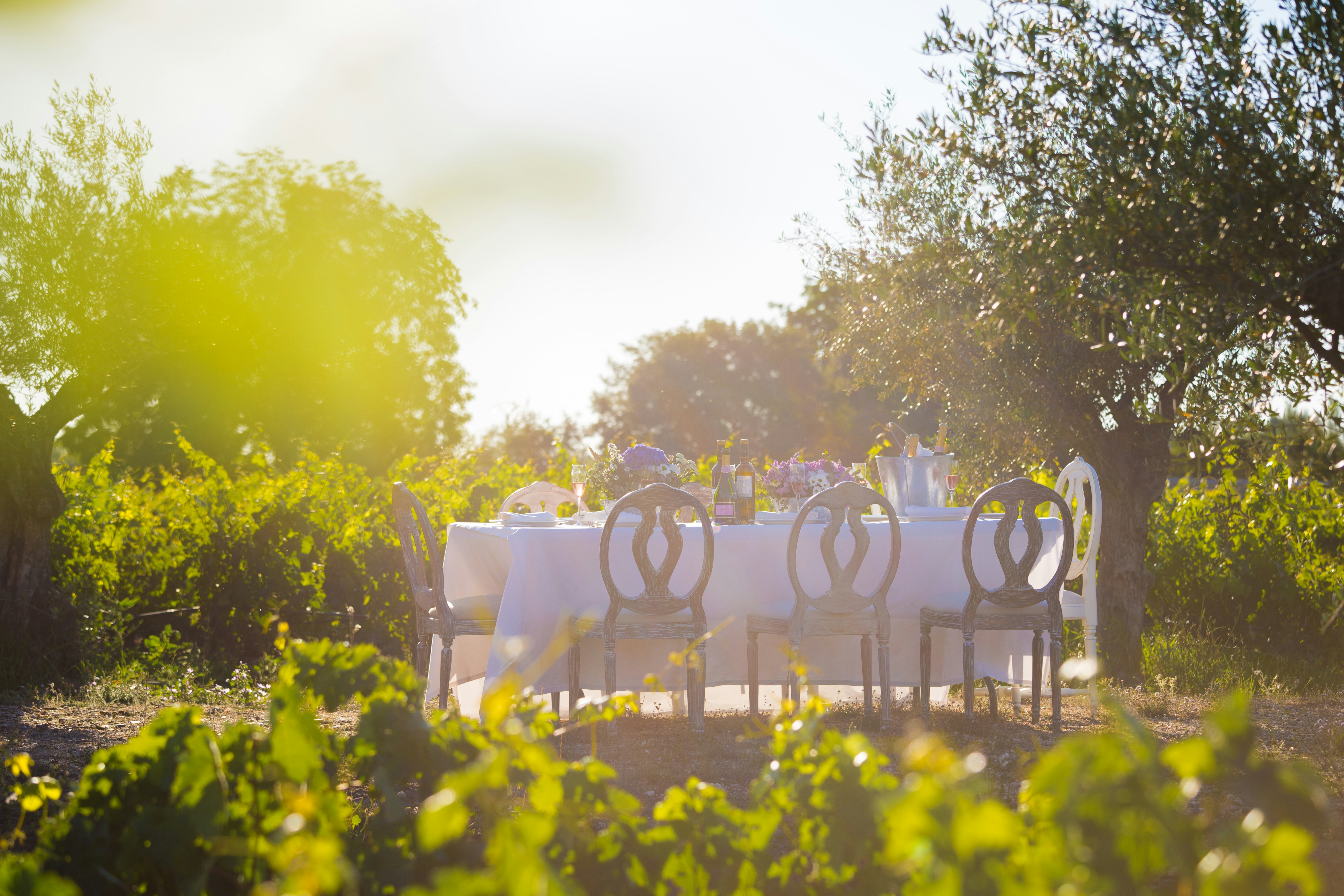 Lunch at the Vineyard