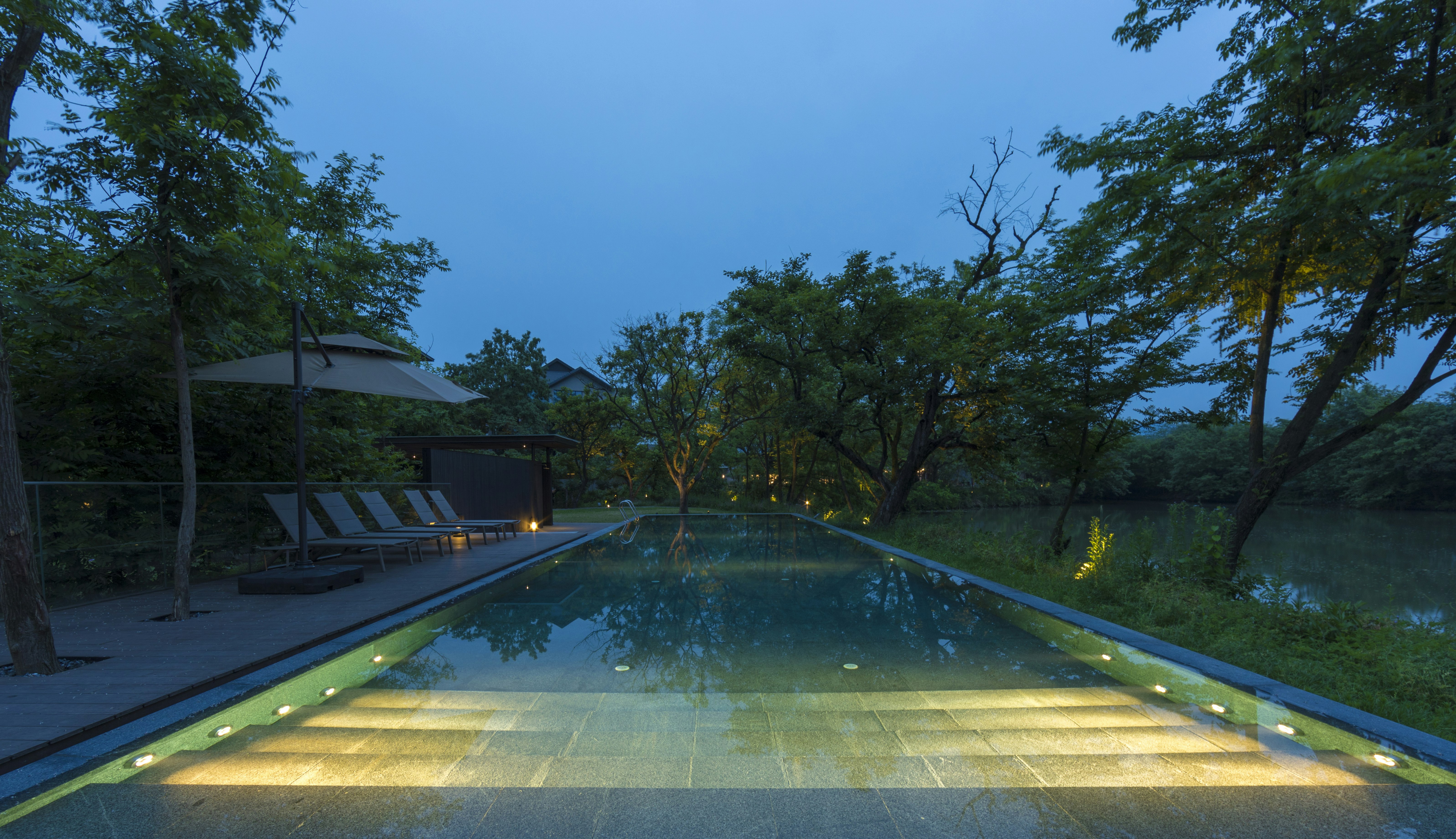 Forested Infinity Pool