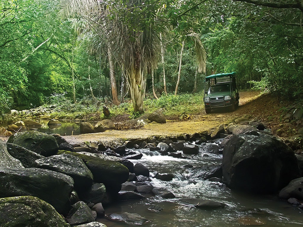 Access to Frederica Nature Reserve