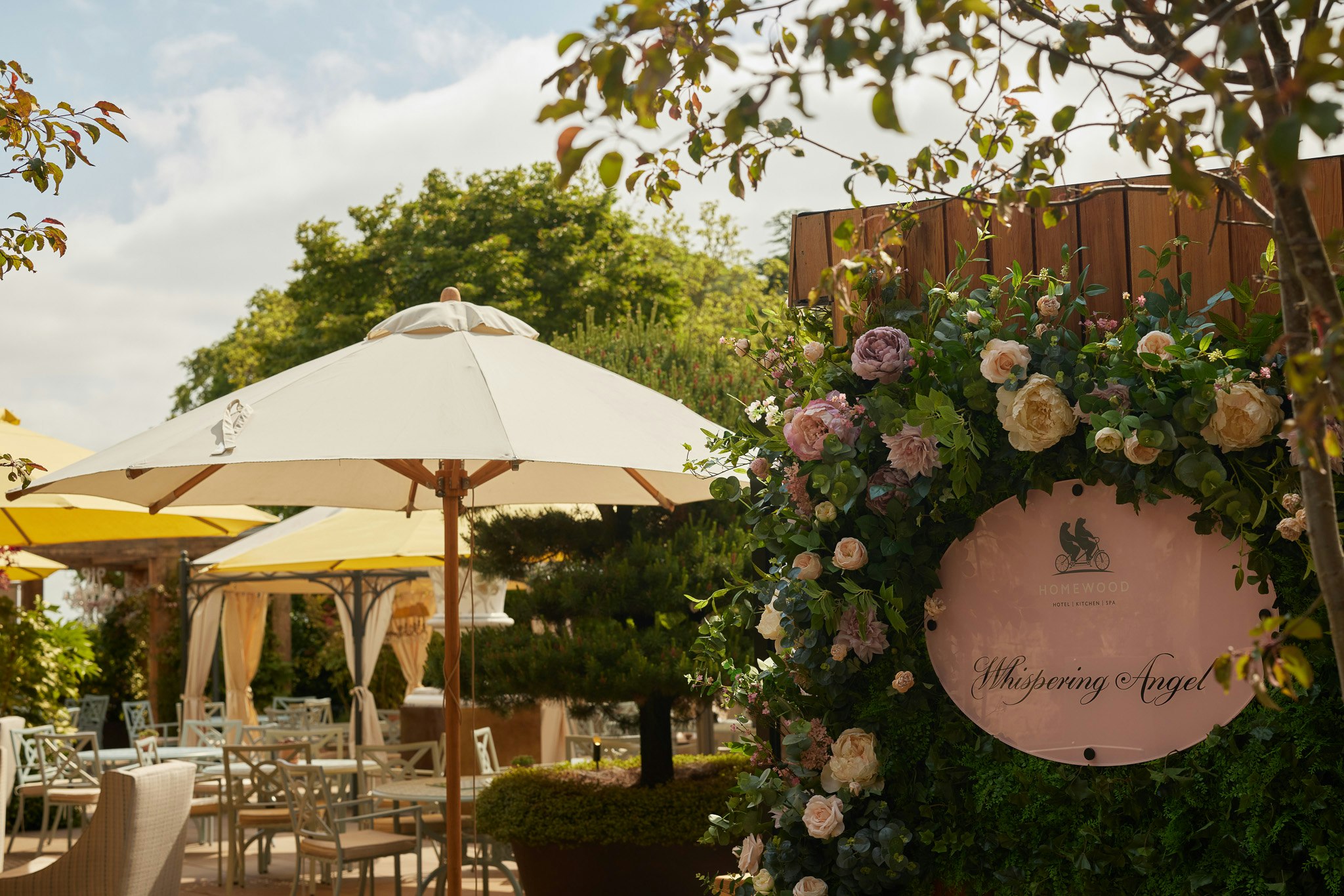 Terrace in partnership with Whispering Angel