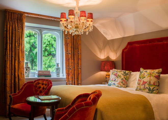 Elegant Room - Bedroom