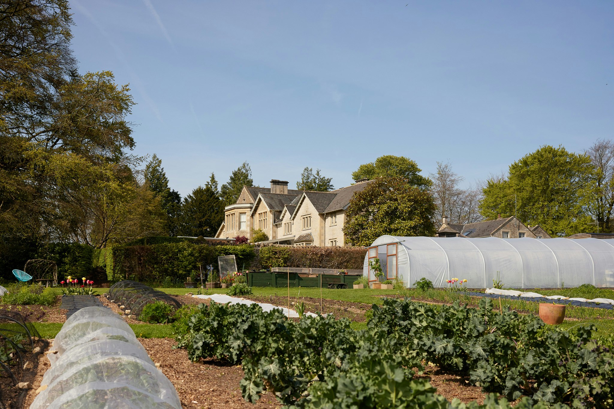 Kitchen Garden