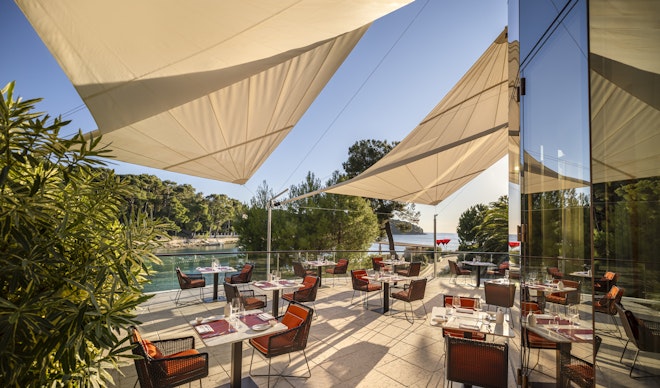 Restaurant - Terrace