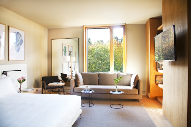 Junior Suite Living Area